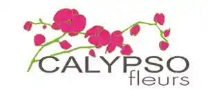calypsofleurs.com