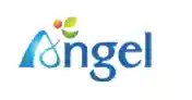 extracteur-angel.com